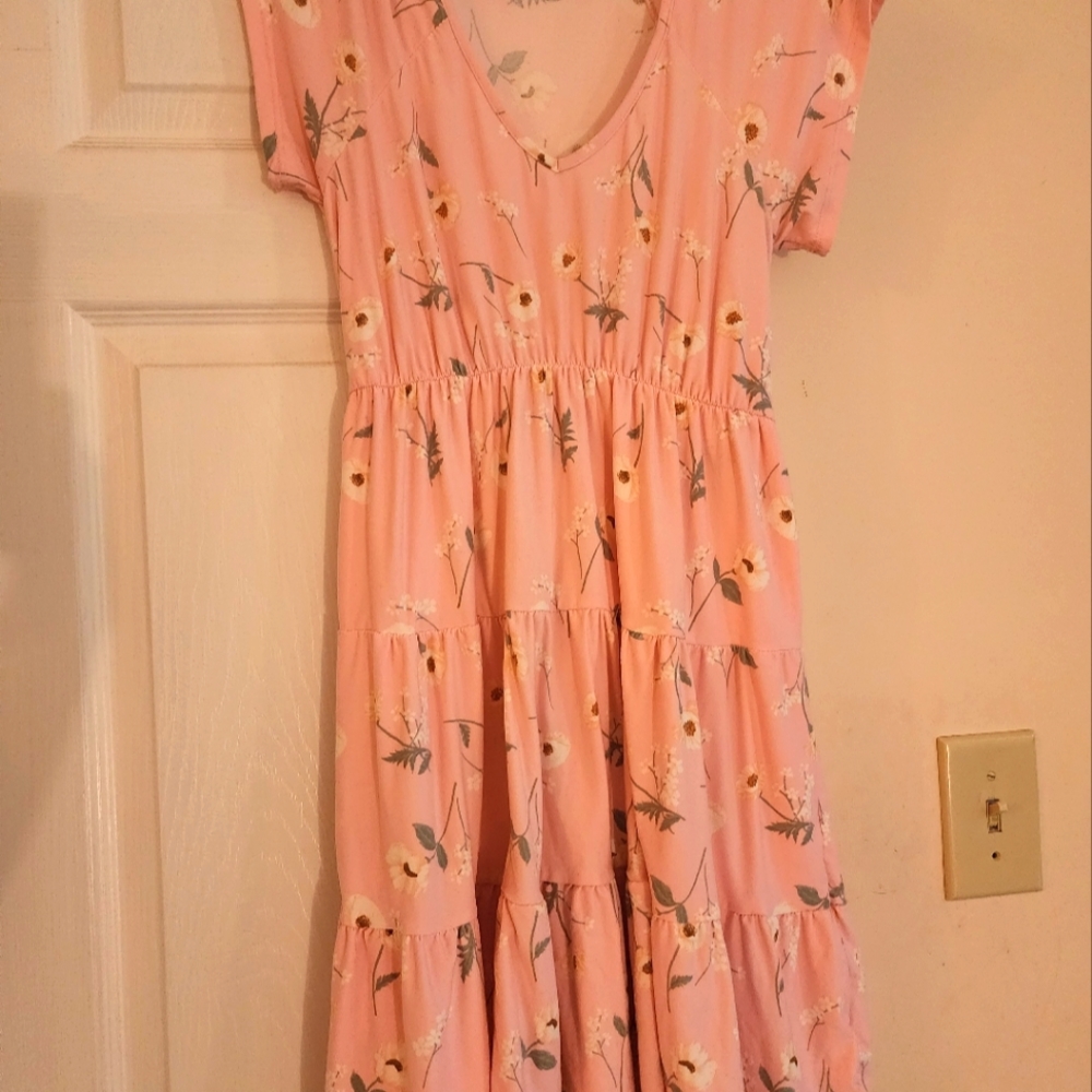Pink Dress